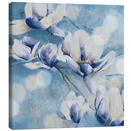 Canvas print Evening Magnolia - Carol Robinson