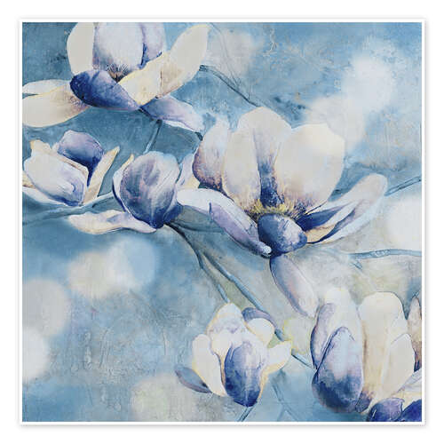 Poster Abendmagnolie