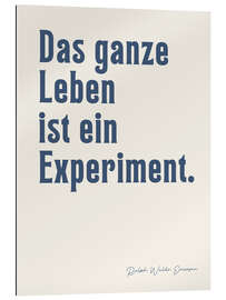 Quadro em plexi-alumínio Das ganze Leben ist ein Experiment - Ralph W. Emerson