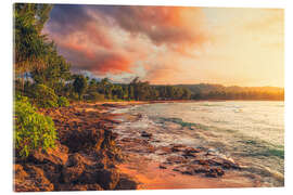 Quadro em acrílico Turtle Bay a the sunset, Oahu - Chiara Salvadori