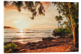 Quadro em acrílico Turtle Bay a the sunset, Oahu - Chiara Salvadori