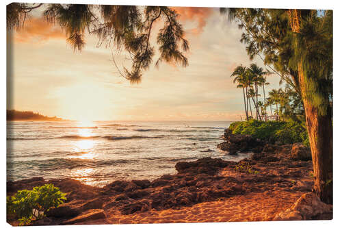 Canvas print Turtle Bay a the sunset, Oahu