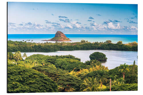 Quadro em alumínio Kaneohe Bay in Oahu Island