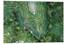 Hartschaumbild Luftaufnahme der Reisfelder auf Bali