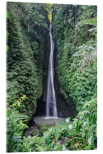 Acrylic print Waterfall in the tropical forest, Bali, Indonesia