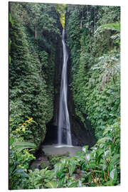 Tableau en aluminium Waterfall in the tropical forest, Bali, Indonesia - Matteo Colombo