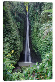 Canvastavla Waterfall in the tropical forest, Bali, Indonesia - Matteo Colombo