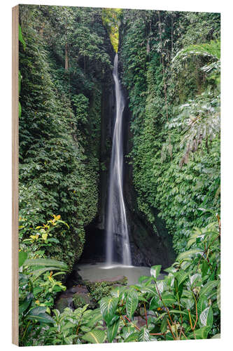 Wood print Waterfall in the tropical forest, Bali, Indonesia