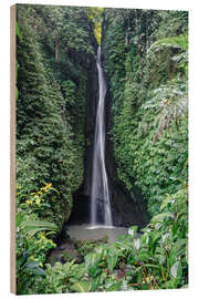 Wood print Waterfall in the tropical forest, Bali, Indonesia - Matteo Colombo