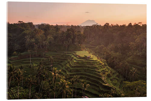 Quadro em acrílico Bali rice terraces and volcano