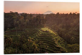 Akrylbillede Bali rice terraces and volcano - Matteo Colombo