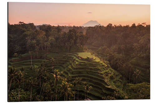Cuadro de aluminio Bali rice terraces and volcano