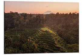 Cuadro de aluminio Bali rice terraces and volcano - Matteo Colombo