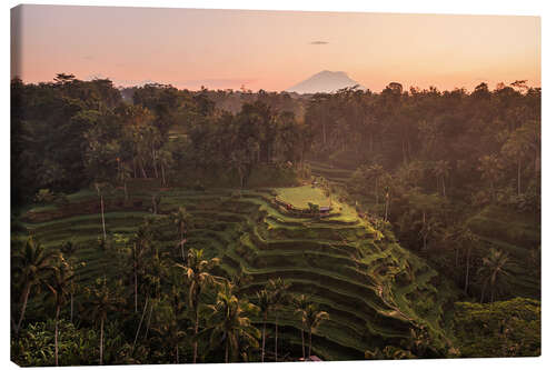Quadro em tela Bali rice terraces and volcano