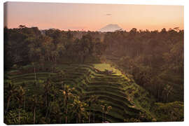 Quadro em tela Bali rice terraces and volcano - Matteo Colombo