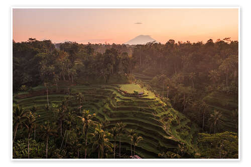Poster Bali rice terraces and volcano