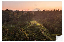 Wandsticker Reisterrassen und Vulkan auf Bali - Matteo Colombo