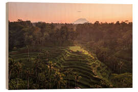 Wood print Bali rice terraces and volcano - Matteo Colombo