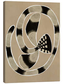 Canvas print Delicate Bloom III - Shatha Dafai