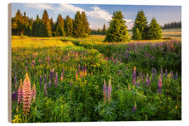 Quadro de madeira Morning mood in the Erzgebirge meadows - Moqui, Daniela Beyer