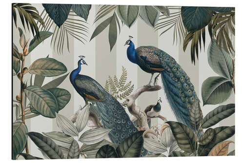 Obraz na aluminium Majestic Peafowls in the Jungle