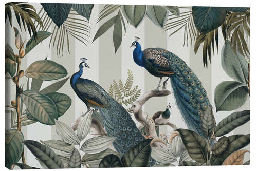 Obraz na płótnie Majestic Peafowls in the Jungle