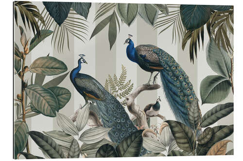 Stampa su plexi-alluminio Majestic Peafowls in the Jungle