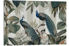 Gallery print Majestic Peafowls in the Jungle