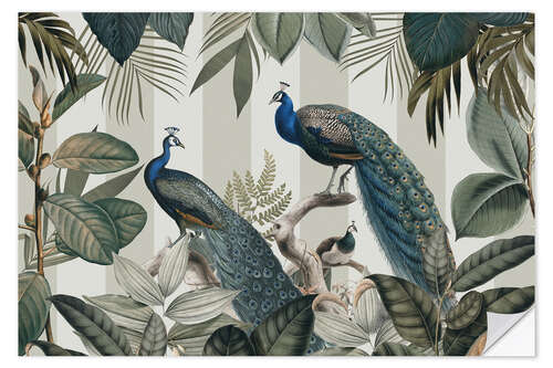 Selvklebende plakat Majestic Peafowls in the Jungle