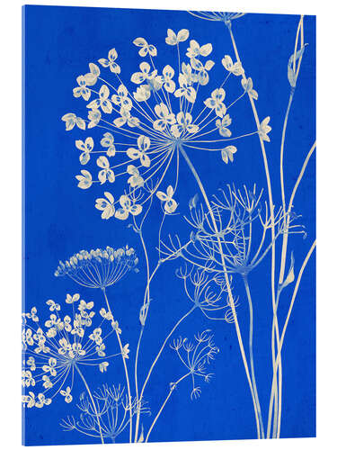 Acrylic print Wildflowers II