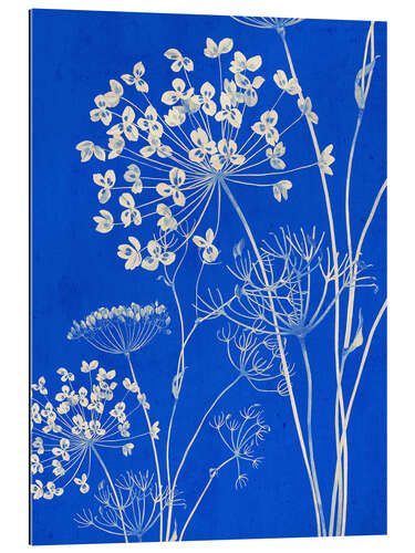 Stampa su plexi-alluminio Wildflowers II
