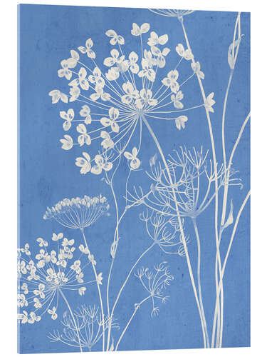 Acrylic print Wildflowers III