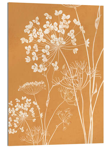 Stampa su plexi-alluminio Wildflowers IV