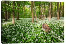 Lienzo Sun in the Wild Garlic Forest - Moqui, Daniela Beyer