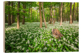 Holzbild Sonne im Bärlauchwald - Moqui, Daniela Beyer