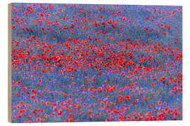 Wood print Red lights in the blue sea of flowers - Moqui, Daniela Beyer