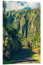 Acrylic print Hoomaluhia Botanical Garden in Oahu - Chiara Salvadori