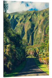 Quadro em alumínio Hoomaluhia Botanical Garden in Oahu - Chiara Salvadori