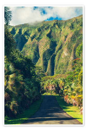 Juliste Hoomaluhia Botanical Garden in Oahu