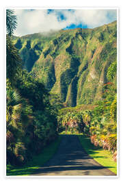Taulu Hoomaluhia Botanical Garden in Oahu - Chiara Salvadori