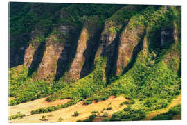 Tableau en verre acrylique Jurassic Valley in Oahu - Chiara Salvadori