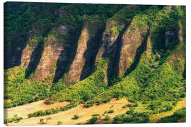 Quadro em tela Jurassic Valley in Oahu - Chiara Salvadori