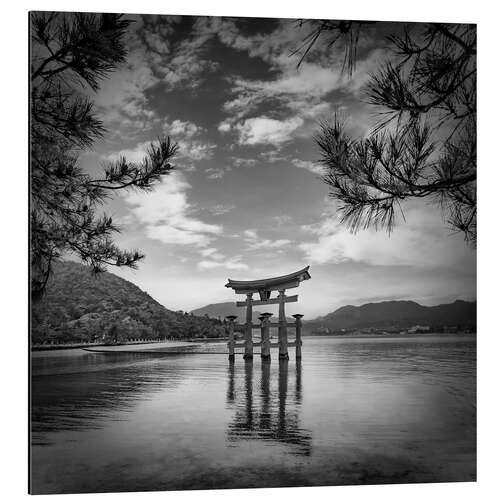 Aluminium print Torii on Miyajima Island in Hiroshima