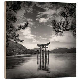 Print på træ Torii on Miyajima Island in Hiroshima