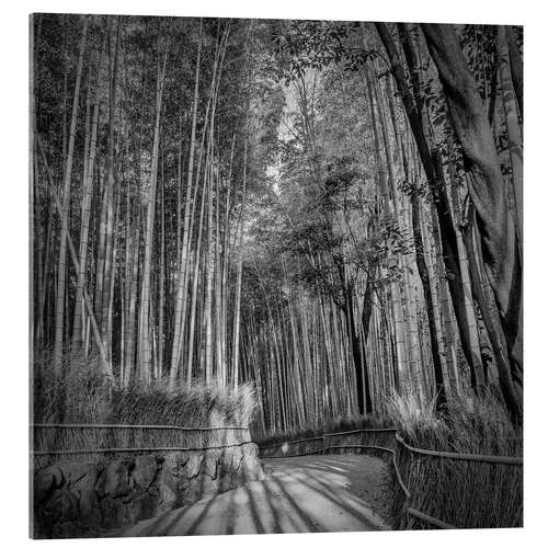 Akrylbillede Arashiyama Bamboo Forest in Kyoto