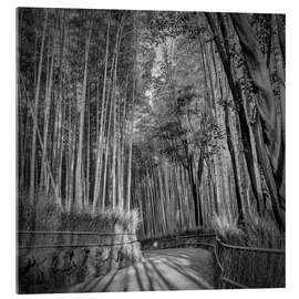Akrylbillede Arashiyama Bamboo Forest in Kyoto - Melanie Viola
