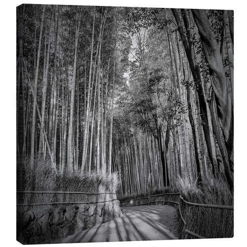 Quadro em tela Arashiyama Bamboo Forest in Kyoto
