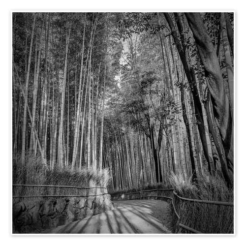 Plakat Arashiyama Bamboo Forest in Kyoto