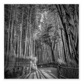 Billede Arashiyama Bamboo Forest in Kyoto - Melanie Viola