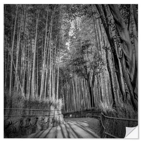 Wall sticker Arashiyama Bamboo Forest in Kyoto